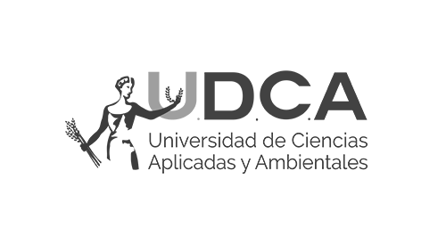 UDCA